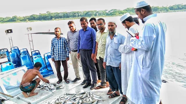 ঝালকাঠিতে ২২ দিনে ৫৪০কেজি মা ইলিশ জব্দ, আটক ১৯ জেলে