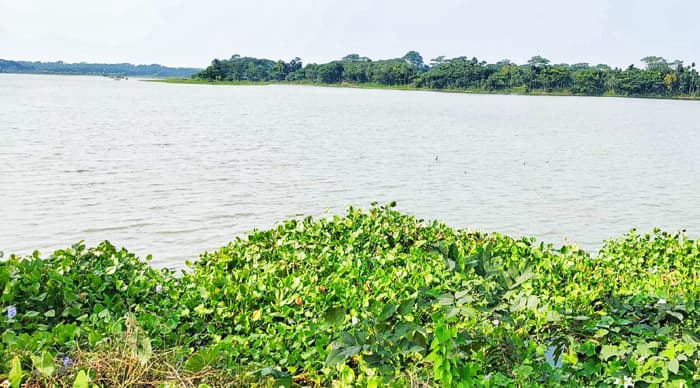 অতিথি পাখির কলতানে মুখরিত কুমারখালি নদী, পর্যটন সম্ভাবনার হাতছানি