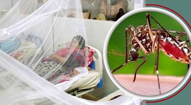 দেশে ডেঙ্গুতে মৃত্যু ১৫০০ ছুঁইছুঁই