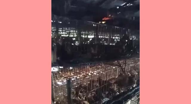 নোয়াখালীতে রহস্যজনক আগুনে পুড়ল ১৫০০ মুরগি