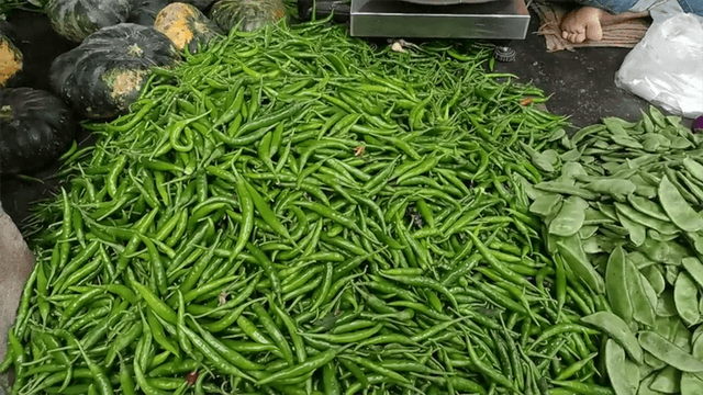 দেশীয় মরিচের সরবরাহ বৃদ্ধি, কমেছে দাম