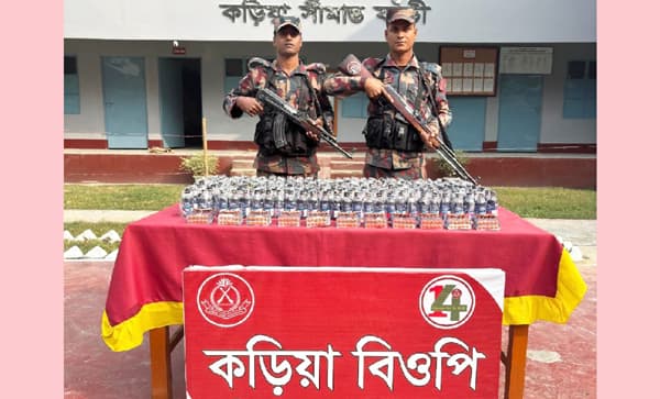 পাঁচবিবিতে বিজিবি'র অভিযানে বিপুল পরিমান মাদক উদ্ধার