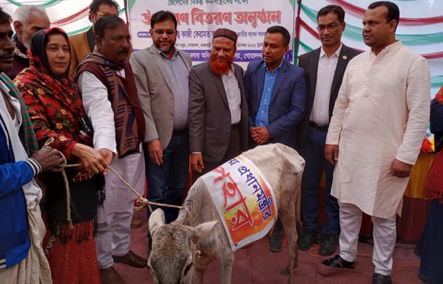 গোয়ালন্দে জেলেদের মাঝে বকনা বাছুর বিতরণ