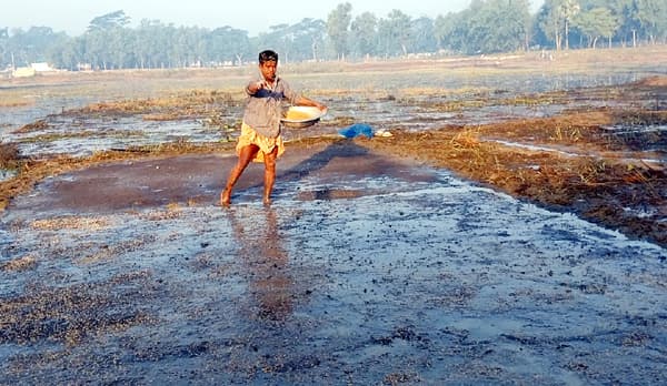 বরিশালে ৬৩ হাজার হেক্টর জমিতে বোরো আবাদের লক্ষ্যমাত্রা