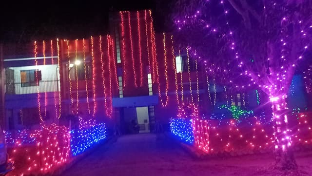 বিজয়ের বর্ণিল সাজে গোয়ালন্দ উপজেলা
