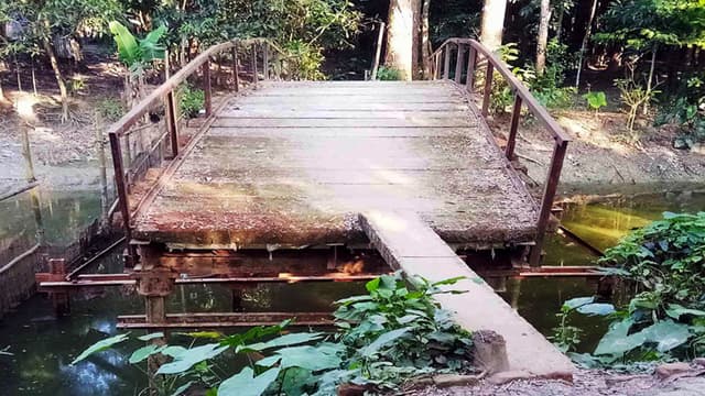 বরিশালে ব্রিজ আছে-সড়ক নেই