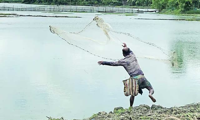 মুঠোফোন আর মাছ ধরায় স্বামীর আসক্তি, বিবাহবিচ্ছেদ চান স্ত্রী!