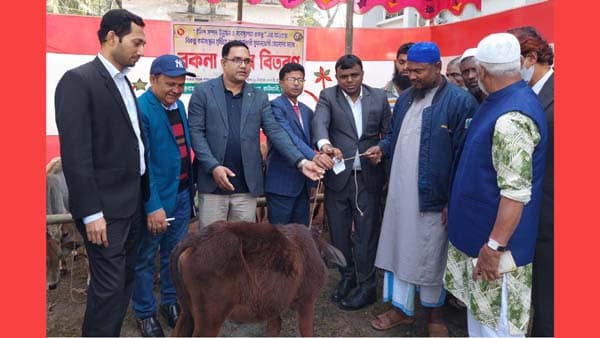 কাউখালীতে জেলেদের মাঝে বকনা বাছুর বিতরণ