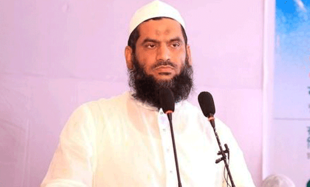 হেফাজতের ঢাকা মহানগরের দায়িত্ব পেলেন সেই মামুনুল হক