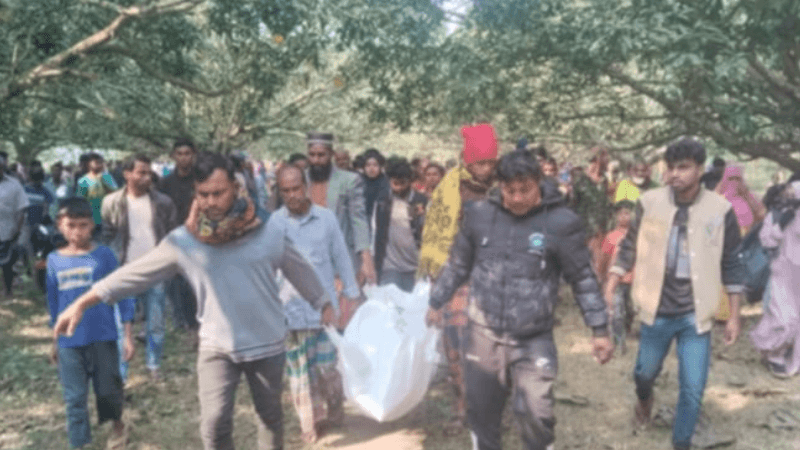 মেহেরপুরে জমি সংক্রান্ত বিরোধে বোনকে হত্যা, ভাইদের বিরুদ্ধে অভিযোগ